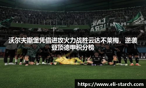 星欧娱乐登录