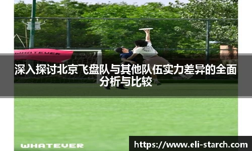 深入探讨北京飞盘队与其他队伍实力差异的全面分析与比较