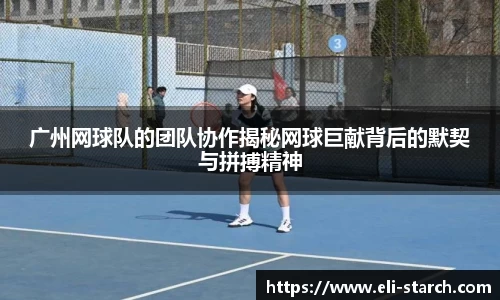 星欧娱乐登录