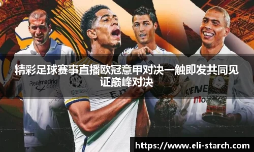 星欧娱乐登录
