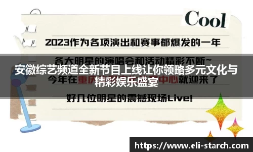 安徽综艺频道全新节目上线让你领略多元文化与精彩娱乐盛宴