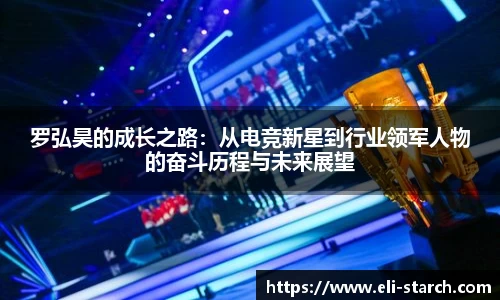 罗弘昊的成长之路：从电竞新星到行业领军人物的奋斗历程与未来展望