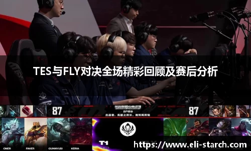TES与FLY对决全场精彩回顾及赛后分析